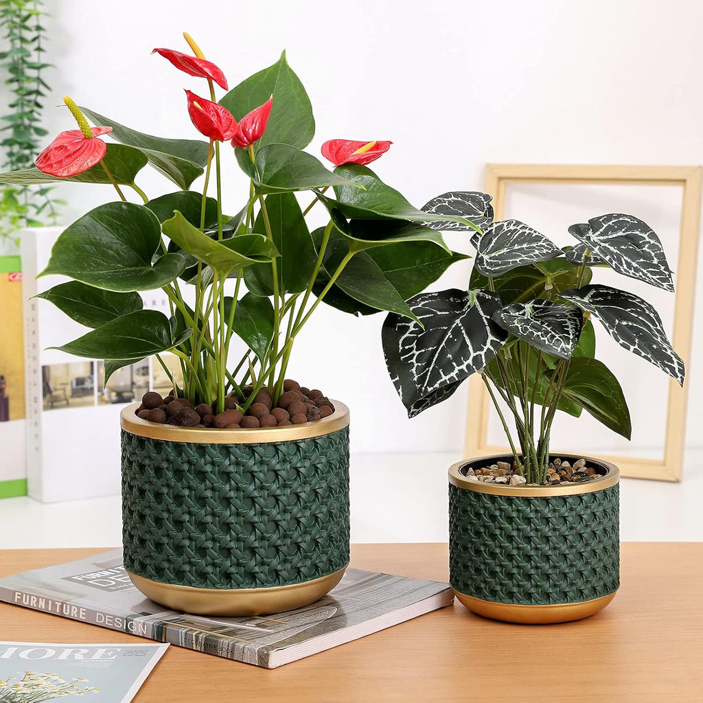 6&4.4 Inch Cement Planter Decorative Pots with Drainage Hole for All House Plants, Succulents, Flowers, and Cactus