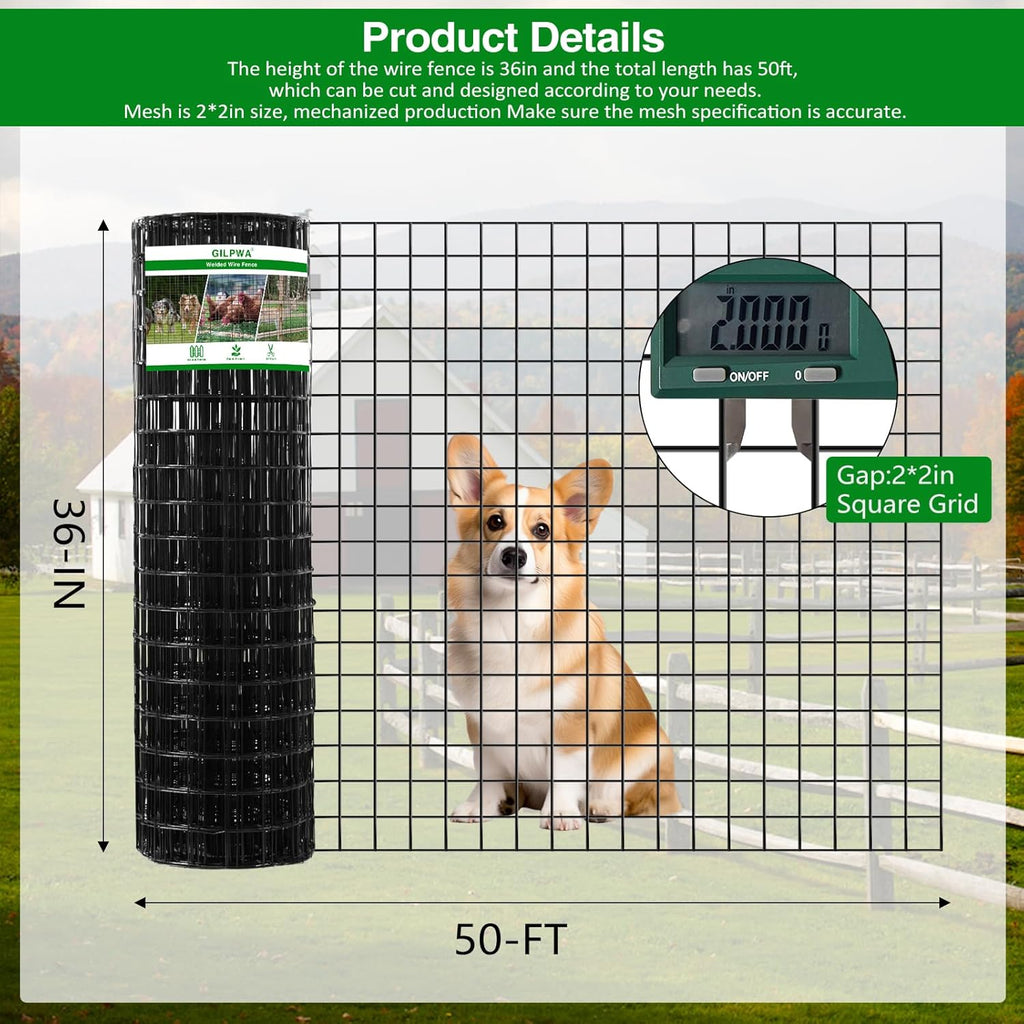 GILPWA Wire Fence, 36 in(H) X 50 ft(L) PVC Coated Welded Wire Fencing 2" X 2" 16GA Garden Border Vinyl Metal Chicken