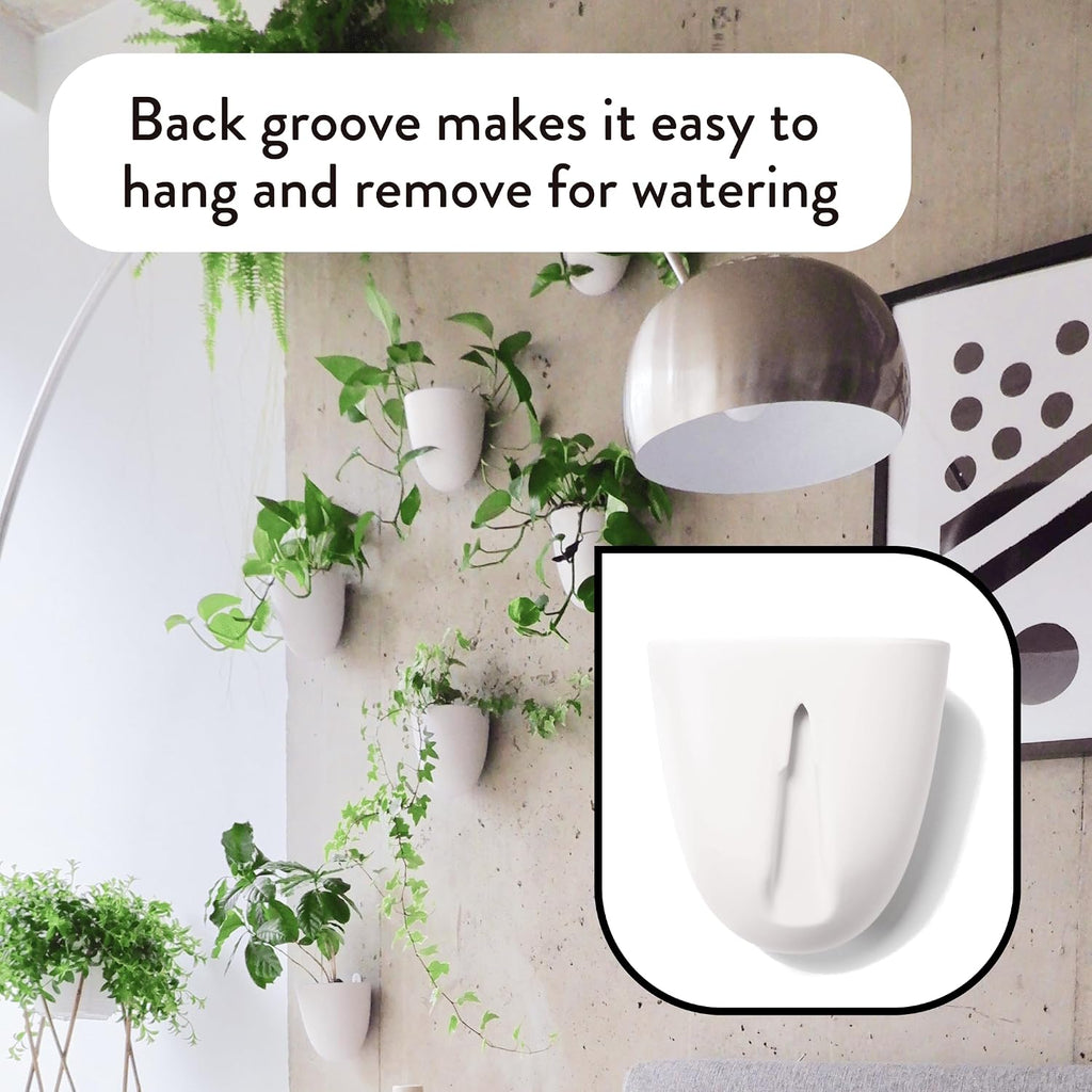 Make Good PlantPod Luxe - Self-Watering Wall Planters (Set of 6) - Easy to Water and Install - Lightweight - Design
