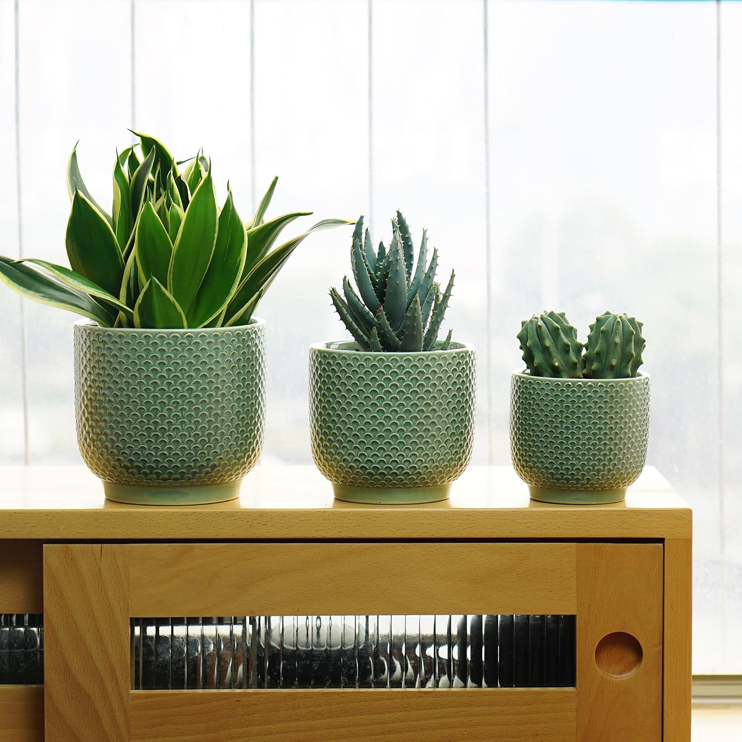 4 + 5 + 6 Inch Ceramic Pots for Indoor Plants, Succulents Plant Pots, Orchid Flower Pot with Drainage Hole, Modern Clay