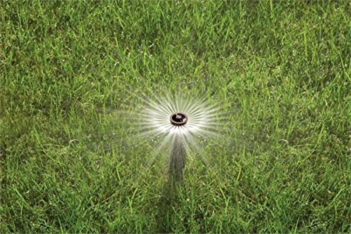 Rain Bird 1804VAN 1800 Series Professional 4 Inch Pop Up Sprinkler Head, 5 Pack - Lawn Sprinkler with Adjustable 0-360