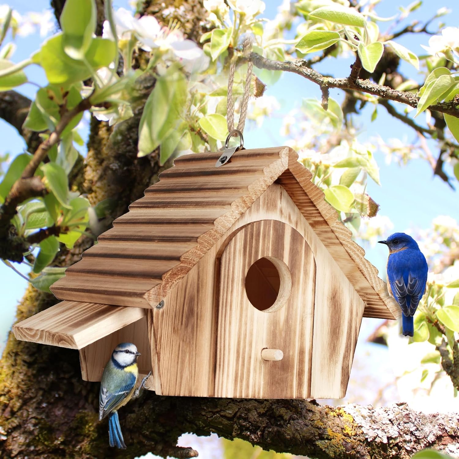 Bird Houses for Outside,Hanging Outdoor BirdHouses,Wood Bird Nesting Box House for Bluebird Humming Finch Wren