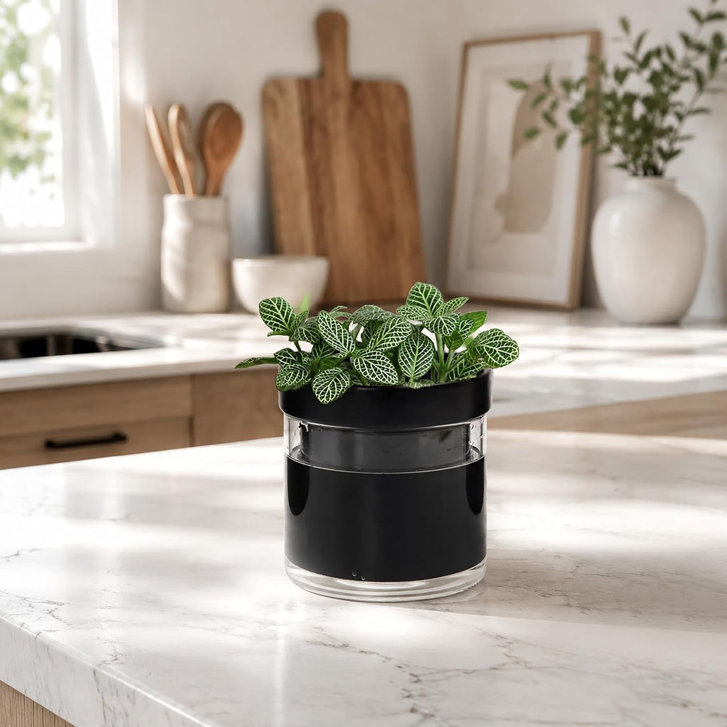 Phoenix Vine 4 Inch Self Watering Planter Pot, Black Terracotta Clay Pot with Glass Reservoir for Indoor Plants, Herbs