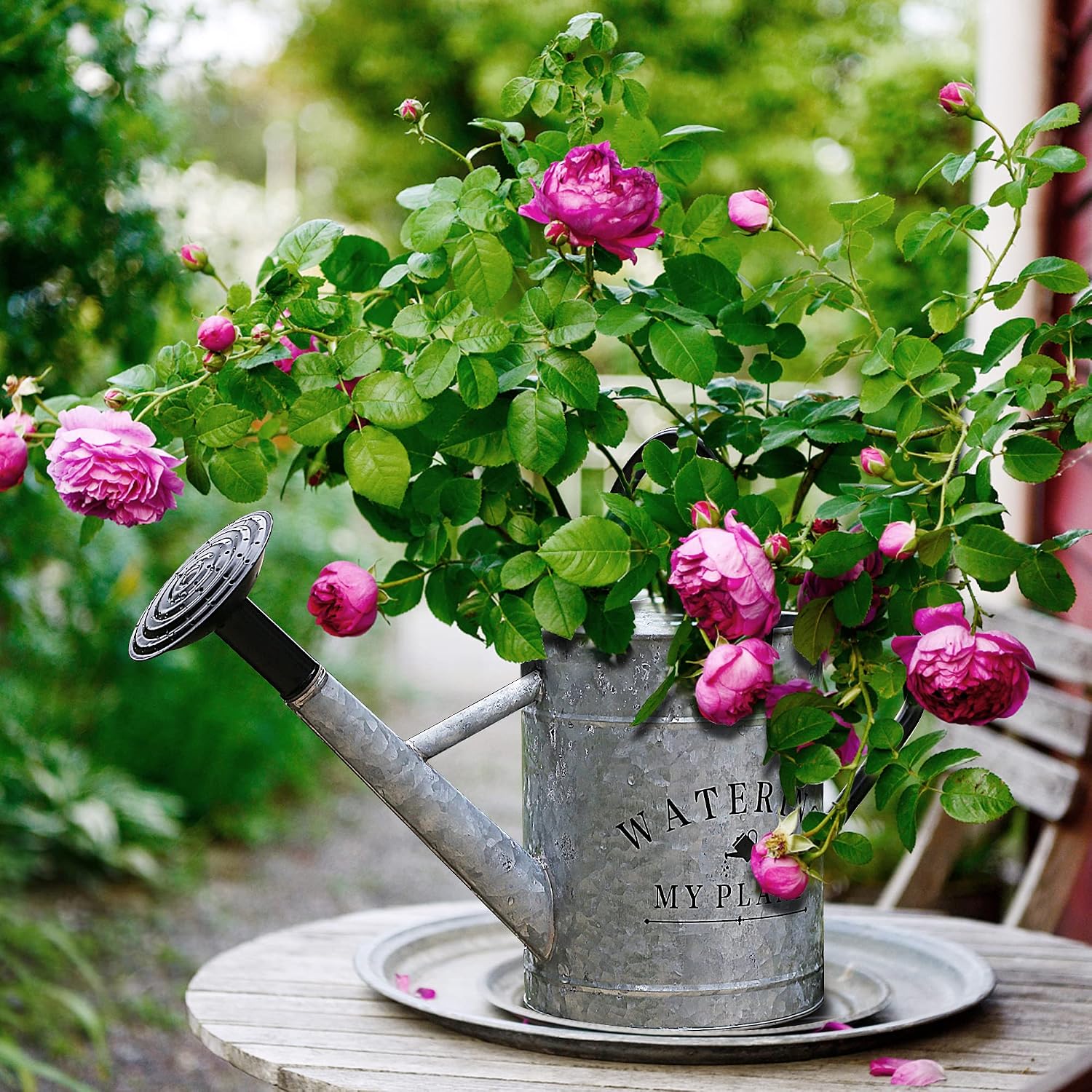 Garutom Galvanized Watering Can for Outdoor Indoor Plants, 1 Gallon Decorative Countryside Style Water Can with