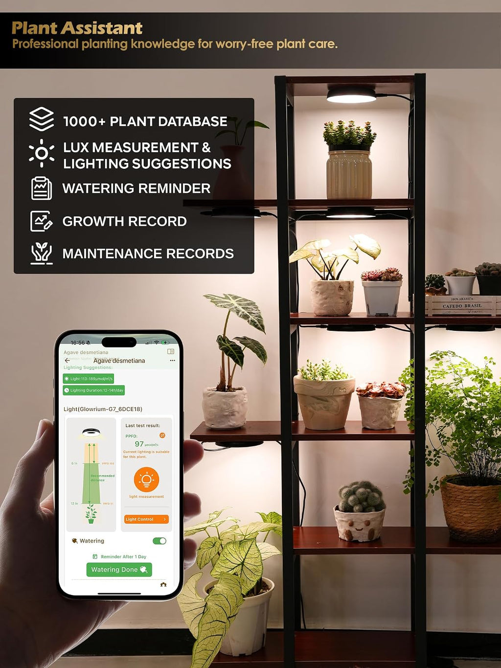 Smart Full Spectrum LED Grow Light for Indoor Plants (Black 2PCS) | 16W LED Grow Lights with Auto Timer, Stepless