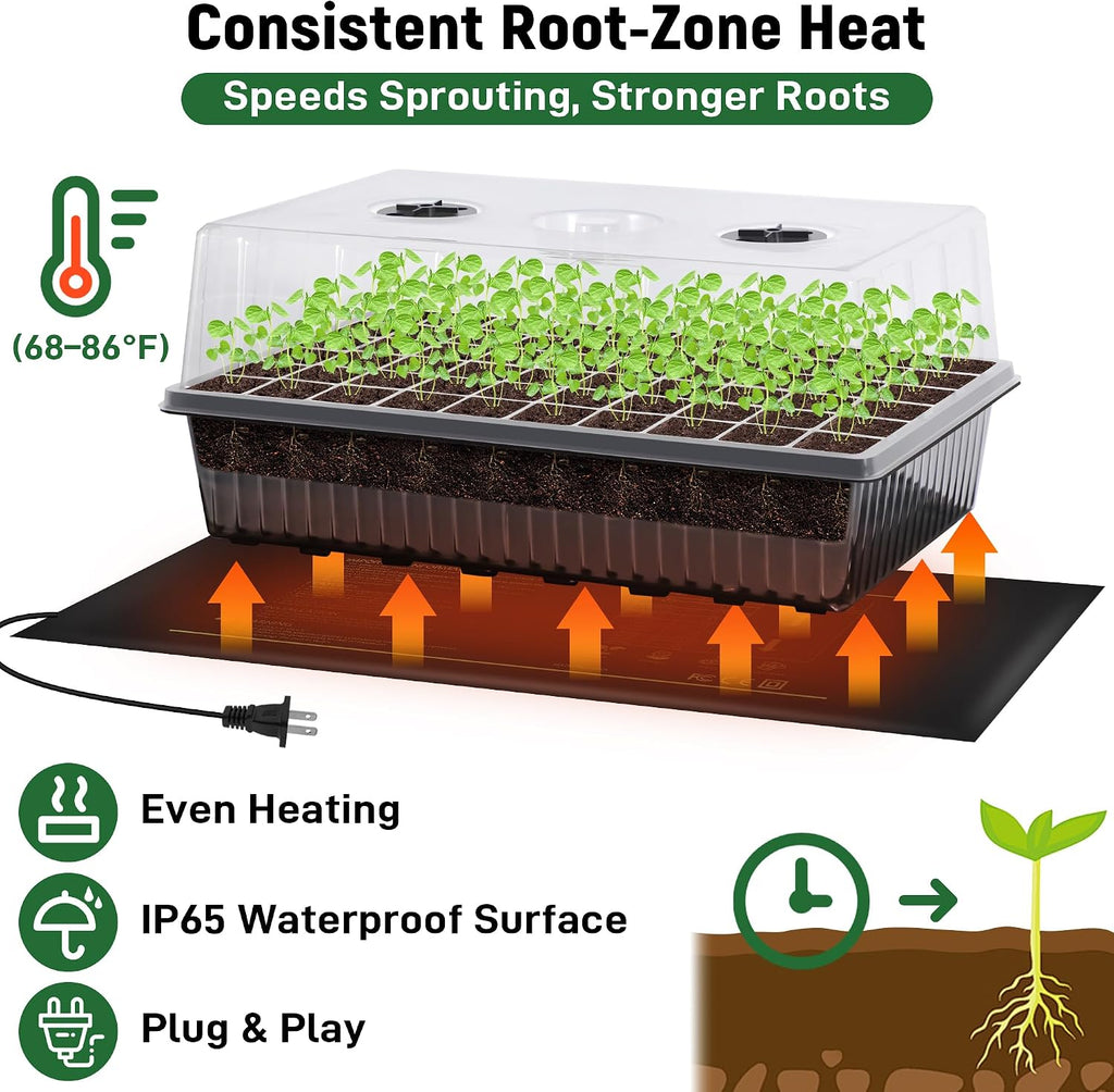 DazSpirit Seed Starter Kit, 60-Cell Tray with Grow Light and Heat Mat | Self-watering seedling tray with humidity dome