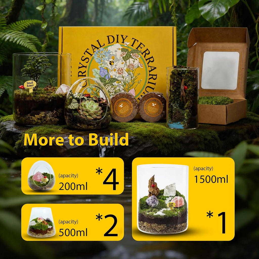 DIY Crystal Terrarium Kit - 21-Pieces All-In-One Starter Kit with Preserved Moss, Pumice, Crystals, Coconut Coir, Tools