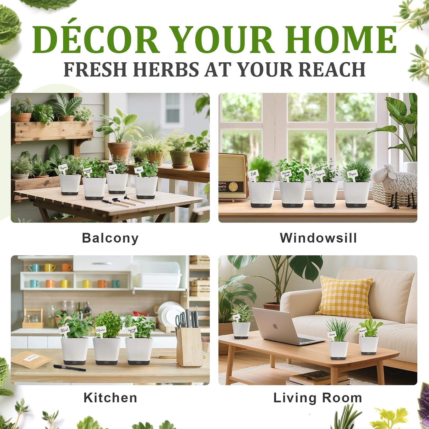 Indoor Herb Garden Starter Kit, 10 Non-GMO Herb Seeds for Basil, Parsley, Thyme, Mint, Cilantro, Dill, Oregano, Chives