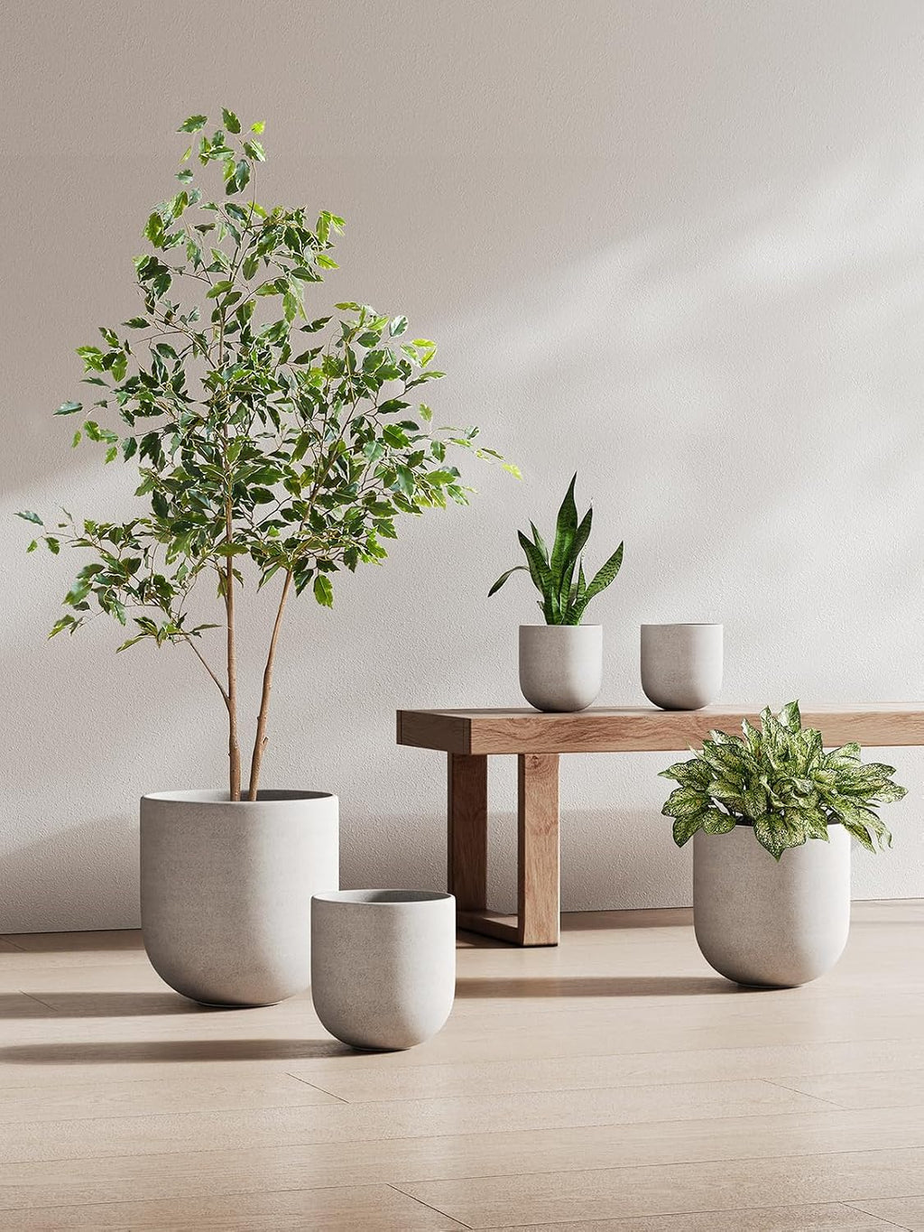 LE TAUCI 6 Inch Plant Pot, Ceramic Planter for Herbs & Small Houseplants, Tabletop Indoor Pot for Shelf, Desk and