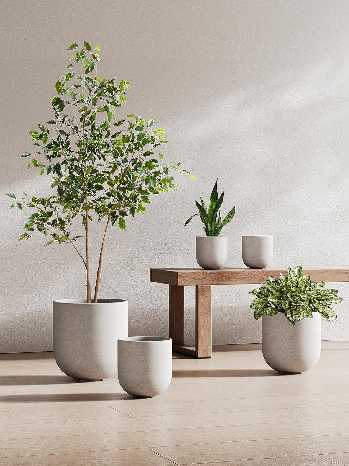 LE TAUCI 6 Inch Plant Pot, Ceramic Planter for Herbs & Small Houseplants, Tabletop Indoor Pot for Shelf, Desk and