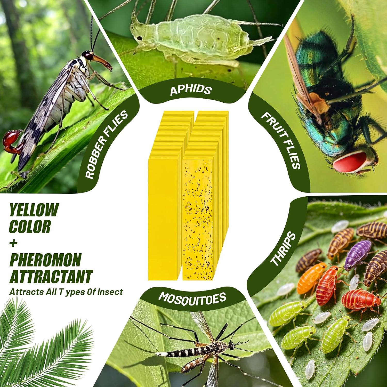 100 Pack Yellow Sticky Fly Traps for Gnats Indoor Outdoor with Twist Ties Double Sided Hanging Fly Paper Strips for