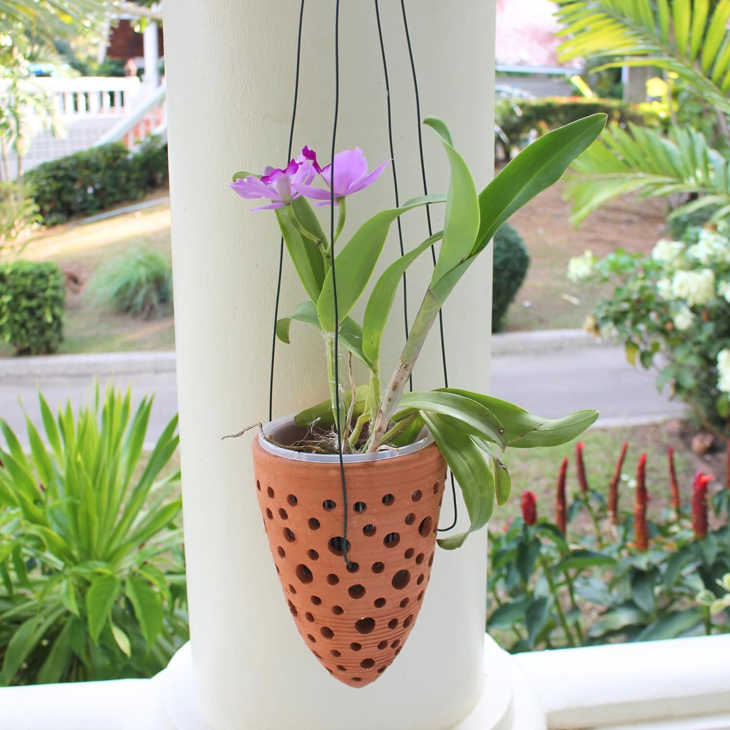 Terracotta Rocket Shaped Orchid Pot with Holes for Small Plants, Hanging Clay Orchid Planters for Outdoors