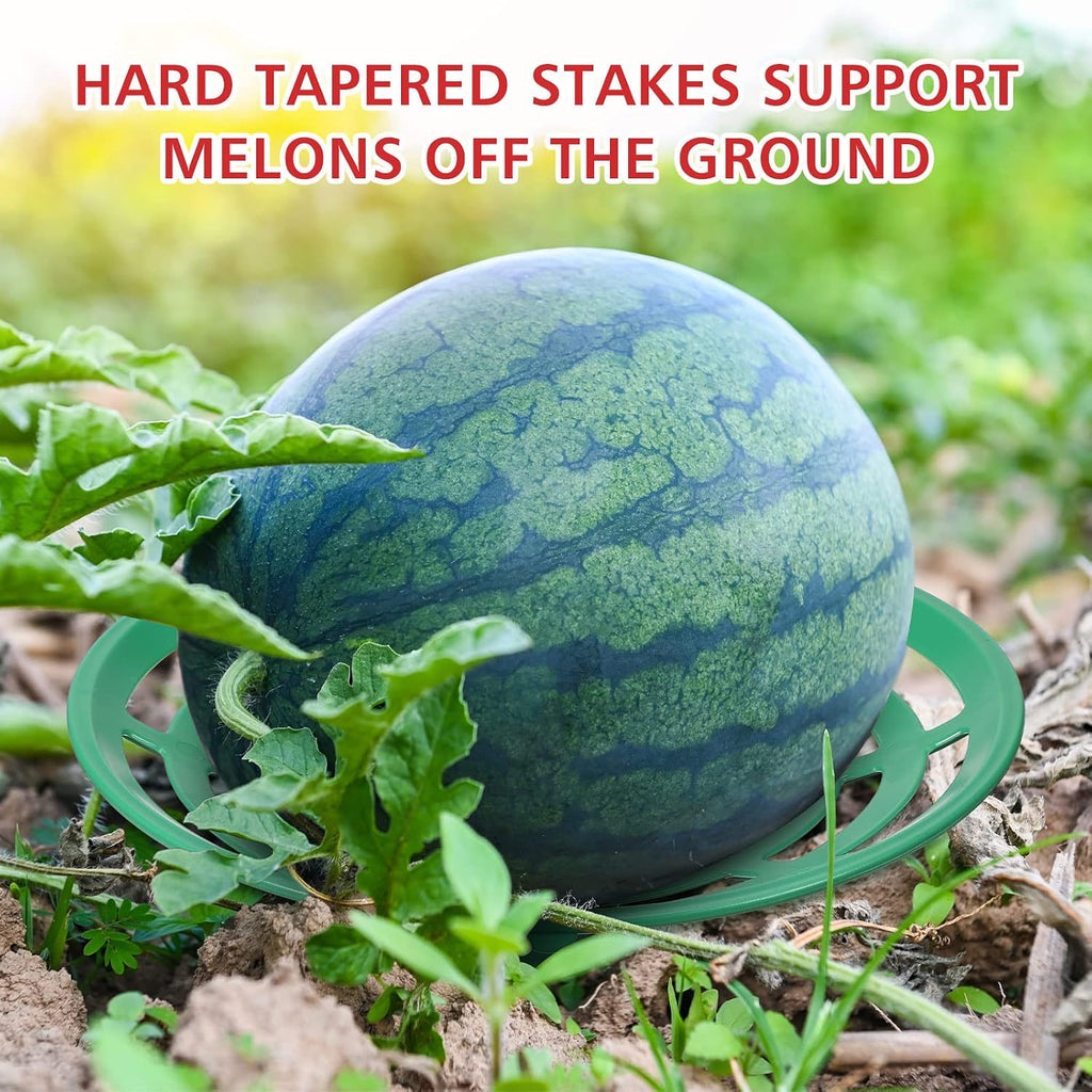 Irenare 24 Pcs Melon Cradle for Garden Watermelon Support Plant Protector for Squash Pumpkin Harvest Basket Watermelon