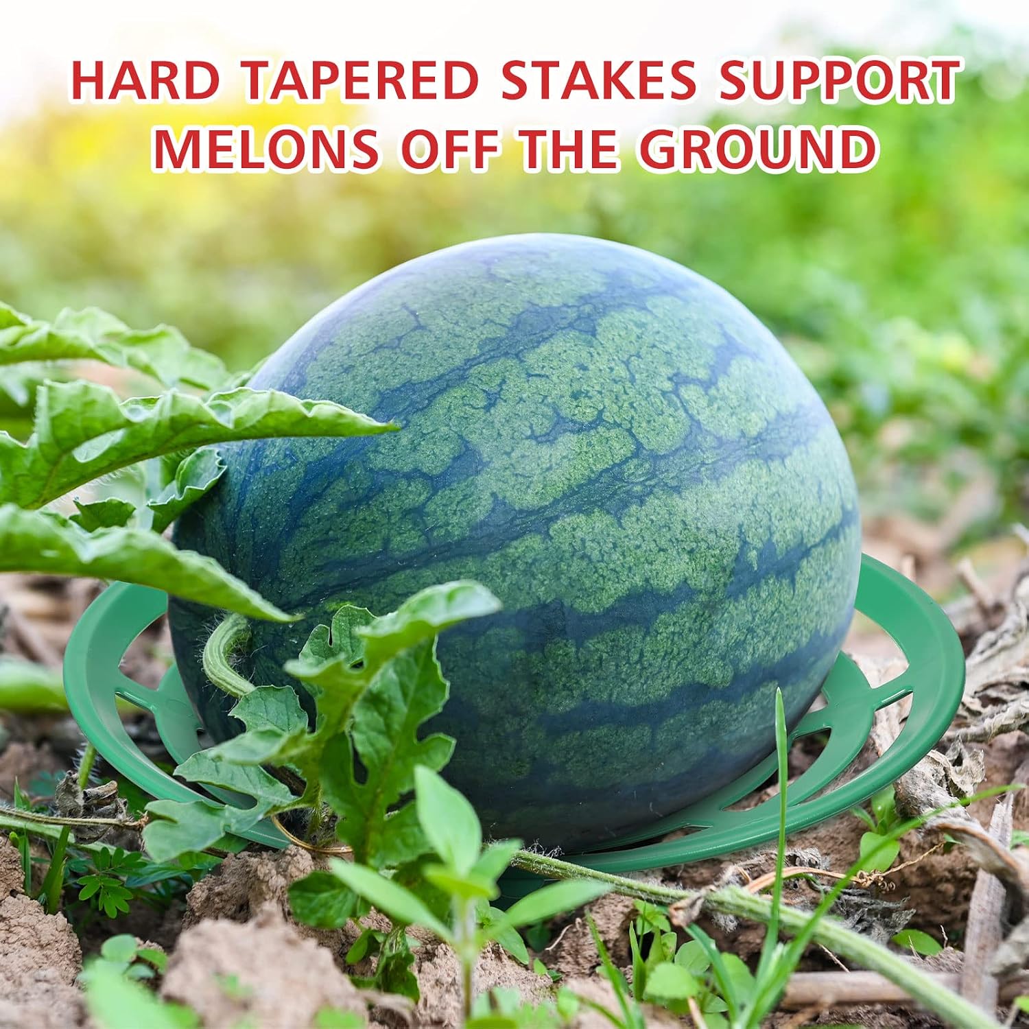 Irenare 24 Pcs Melon Cradle for Garden Watermelon Support Plant Protector for Squash Pumpkin Harvest Basket Watermelon