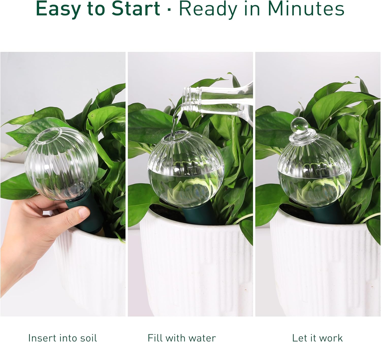 Soilagua 12 oz Top Fill Watering Globes with Terracotta Spikes, 2 Pack | Slow Release Self-Watering, Vacation Friendly