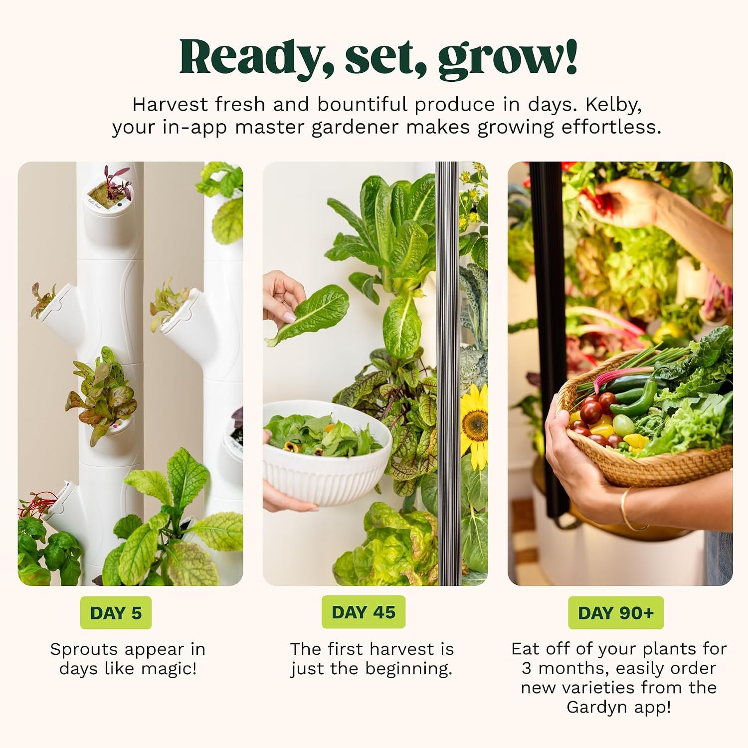 Gardyn Studio 2 Hydroponics Growing System - 16 Plants, Smart Tower | New & improved, non-GMO plants, herbs