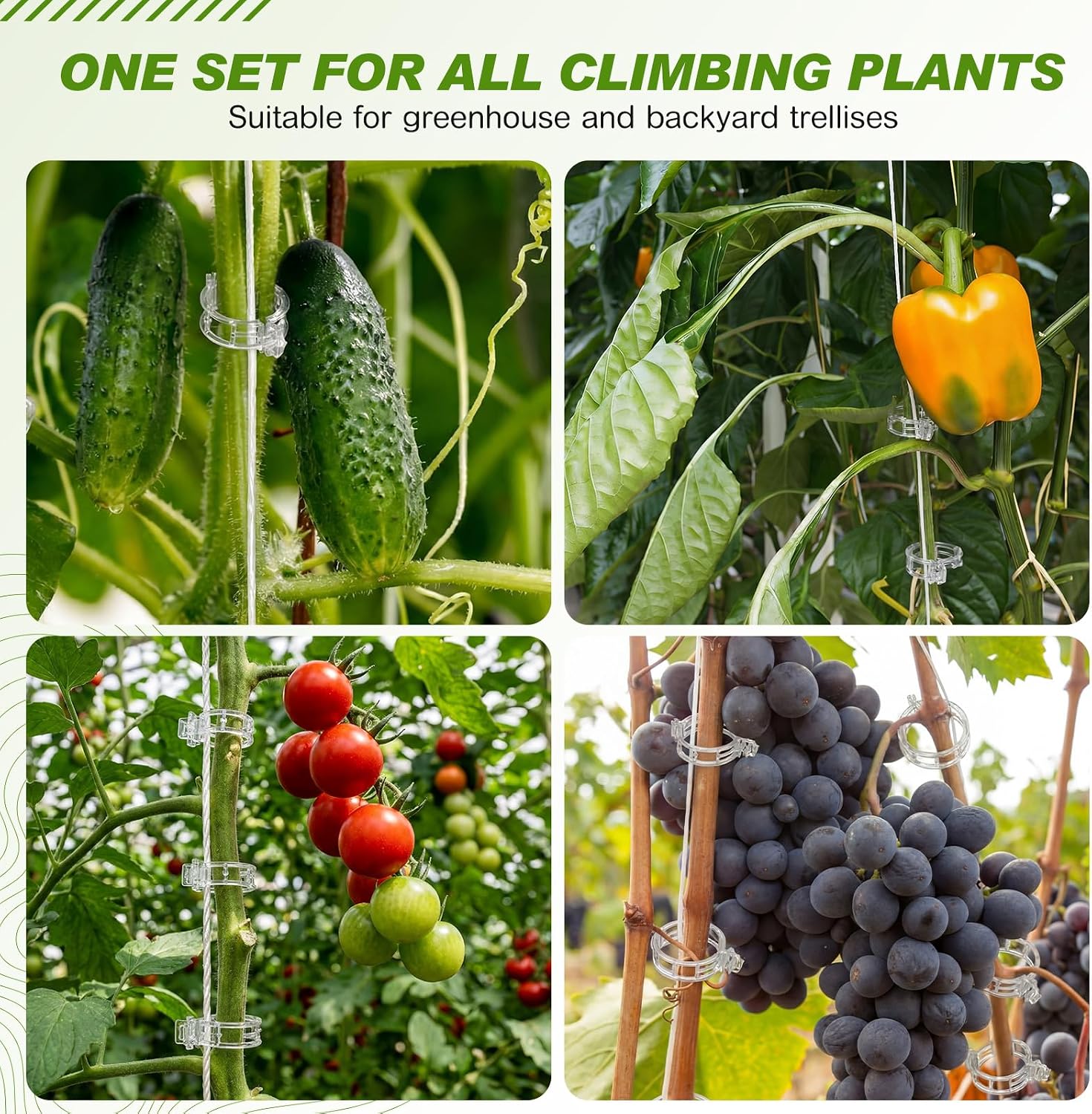 Hushee 100 Pack Tomato Hooks with 200 Garden Clips & 32.8ft String, Tomato Hooks for Climbing Plants, Heavy Duty Plant