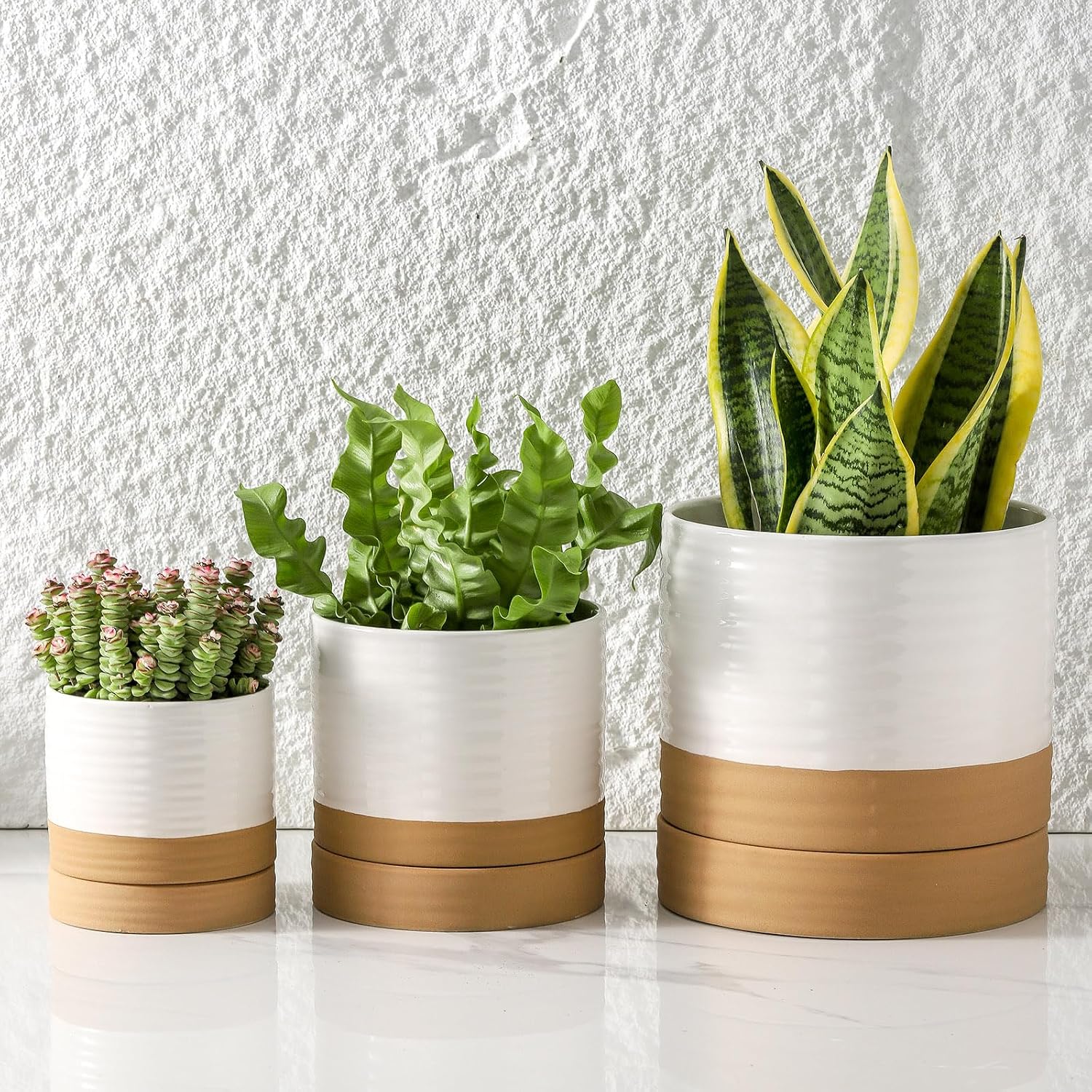 HASENSE Ceramic Plant Pots with Saucers Set of 3, 8+6+4.6 Inch Planters for Indoor Plants with Drainage Holes,Two-Tone