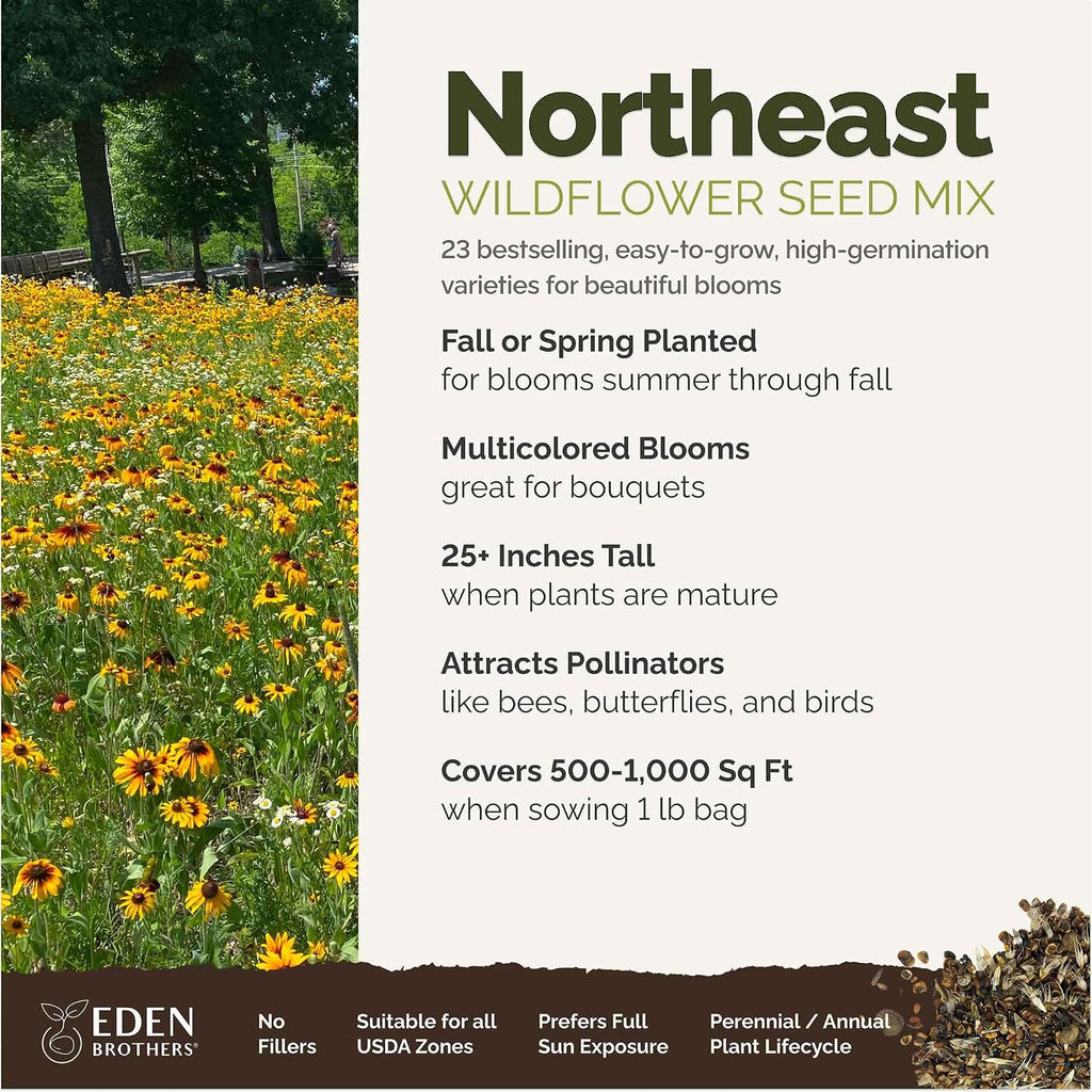 Eden Brothers Northeast Wildflower Mixed Seeds for Planting, 1 lb, 480,000+ Seeds with Cosmos, Candytuft, Shasta Daisy
