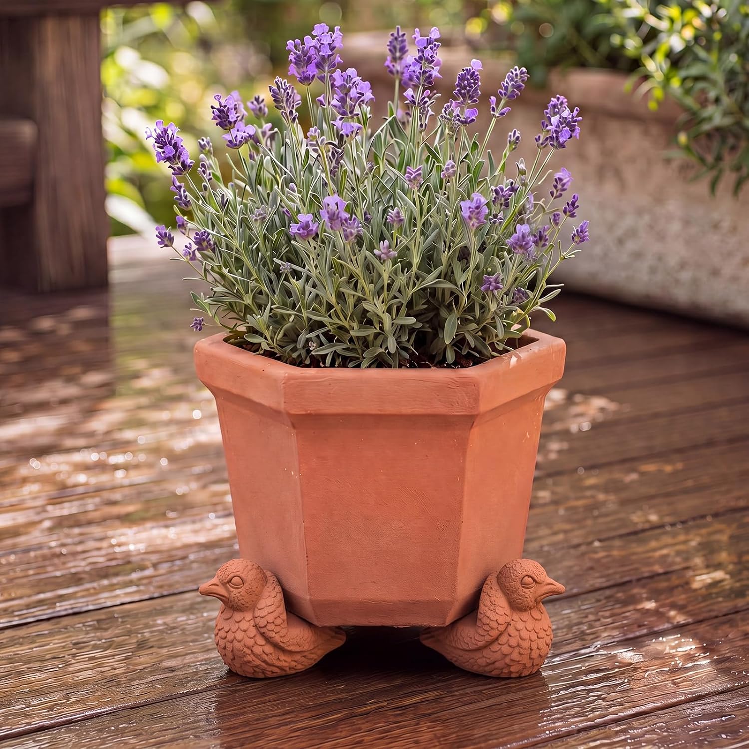 LemonRoad 12 Set Bird Pot Feet for Outdoor Planters, Terra Cotta Cement | 2" H, Animal Plant Pot Risers for 14"-20"