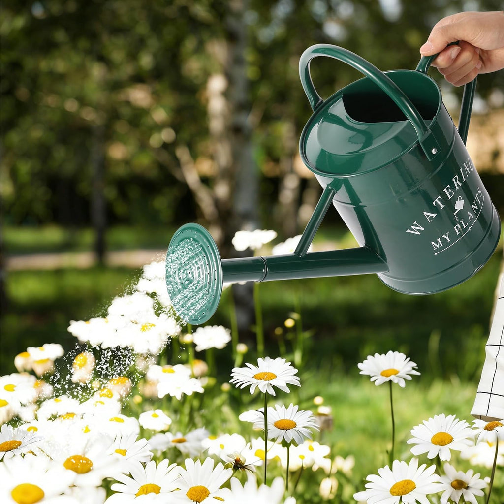 Garutom Galvanized Watering Can for Outdoor Indoor Plants, 1 Gallon Decorative Countryside Water Can with Removable
