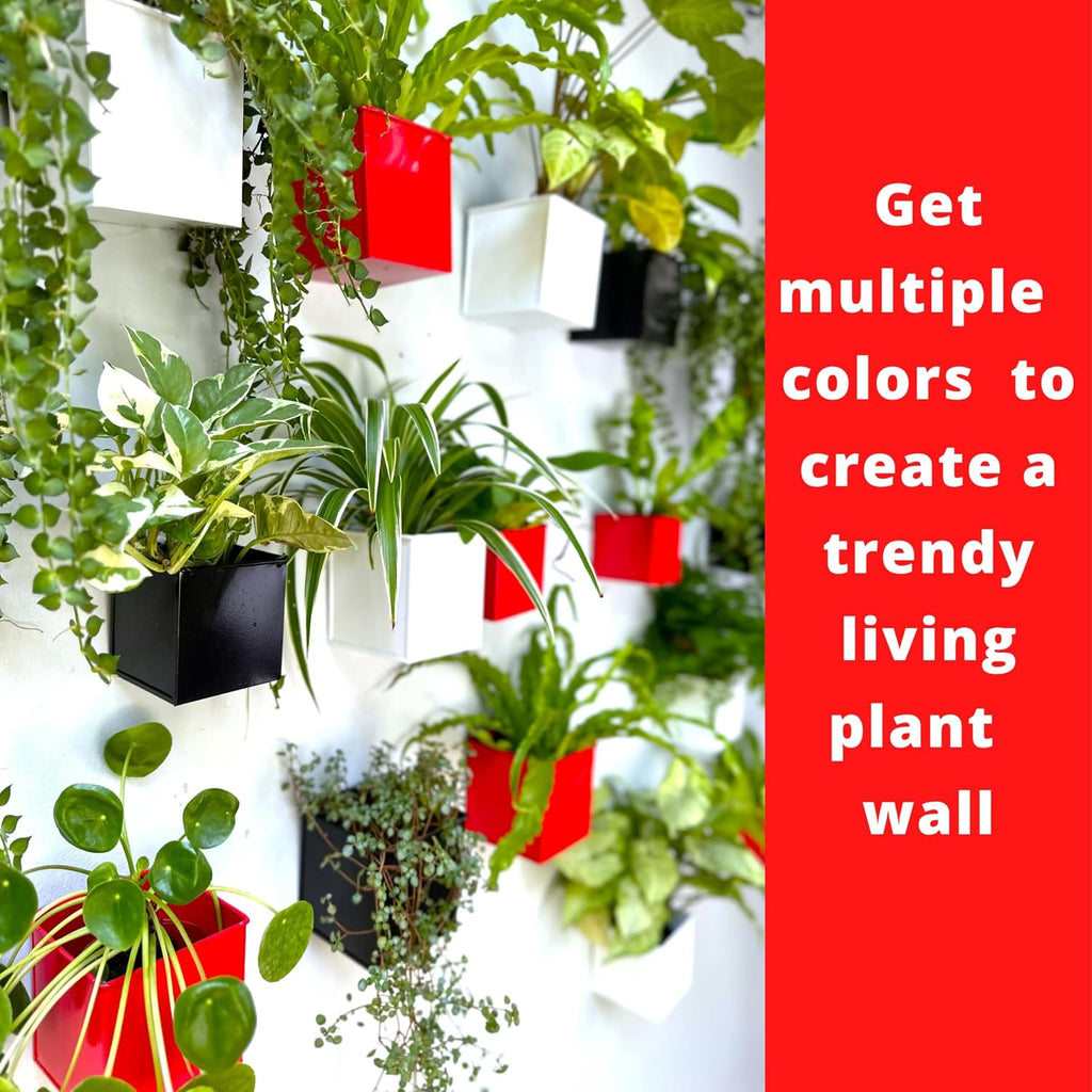 LaLaGreen Indoor Wall Planter (4 in, 6 Pack) Black Square Metal Wall Decor | Wall decor plant shelf black square small