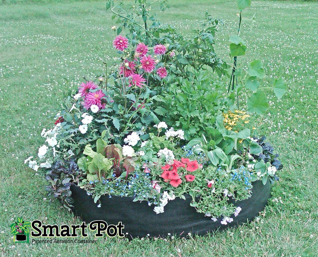 Smart Pots 12100 Big Bag Bed Fabric Raised Bed, Black