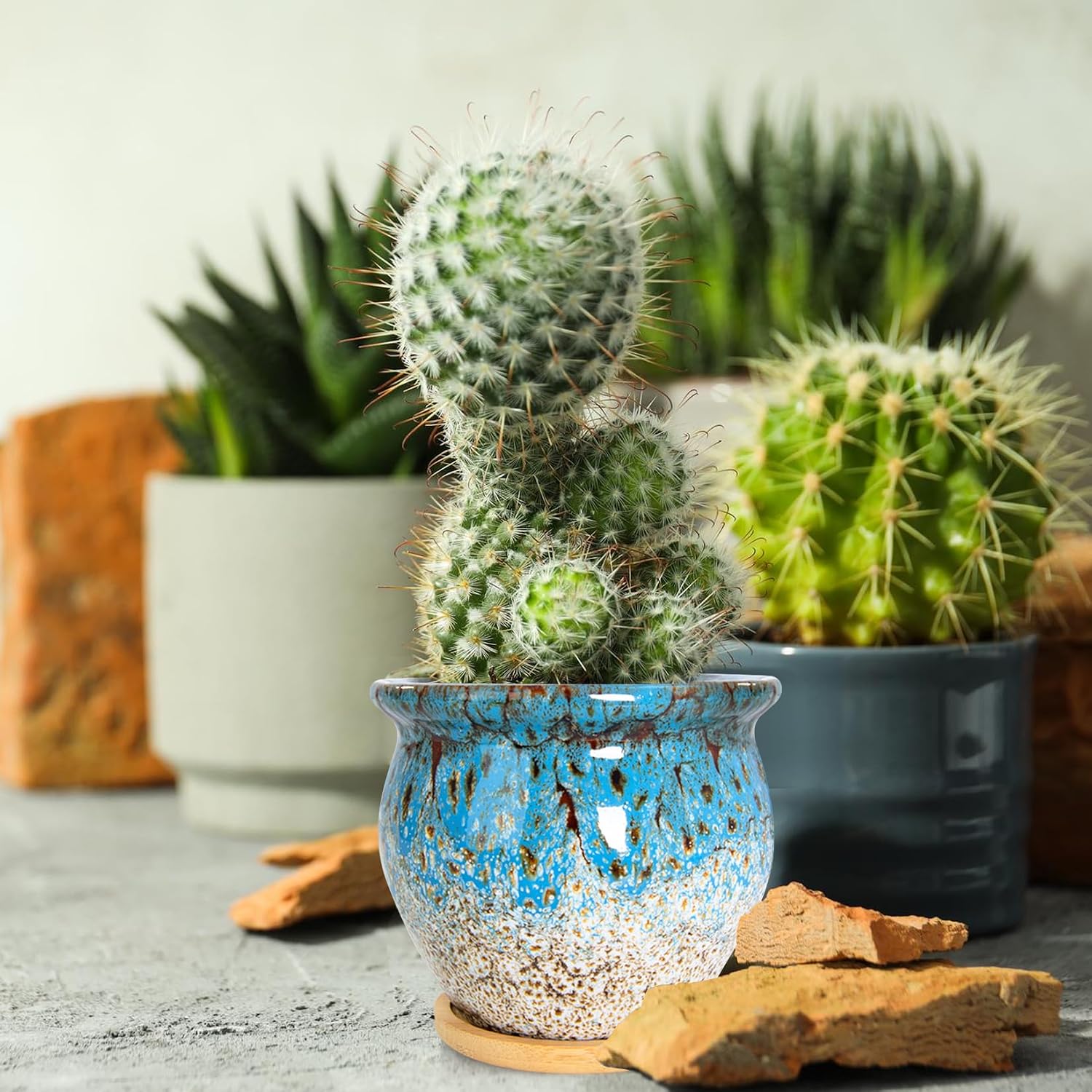 ARTKETTY Succulent Pots - 4 Pack Small Plant Pots with Drainage Tray | 4.5 Inch Ceramic Planters for Indoor Plants