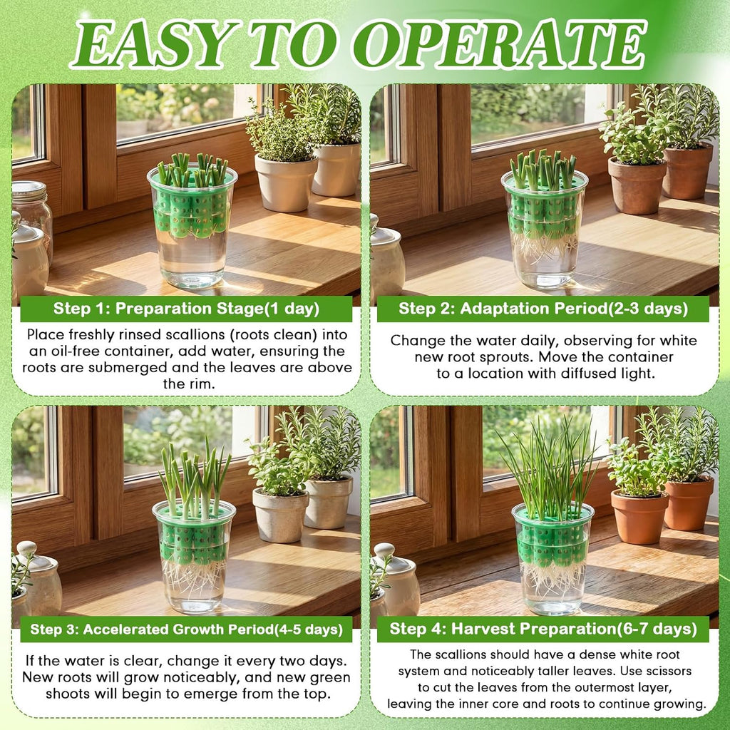 4 Pack Green Onion Planter Scallion Grower Seed Sprouting Kit Compatible with Regular Mouth Mason Jar for Windowsill
