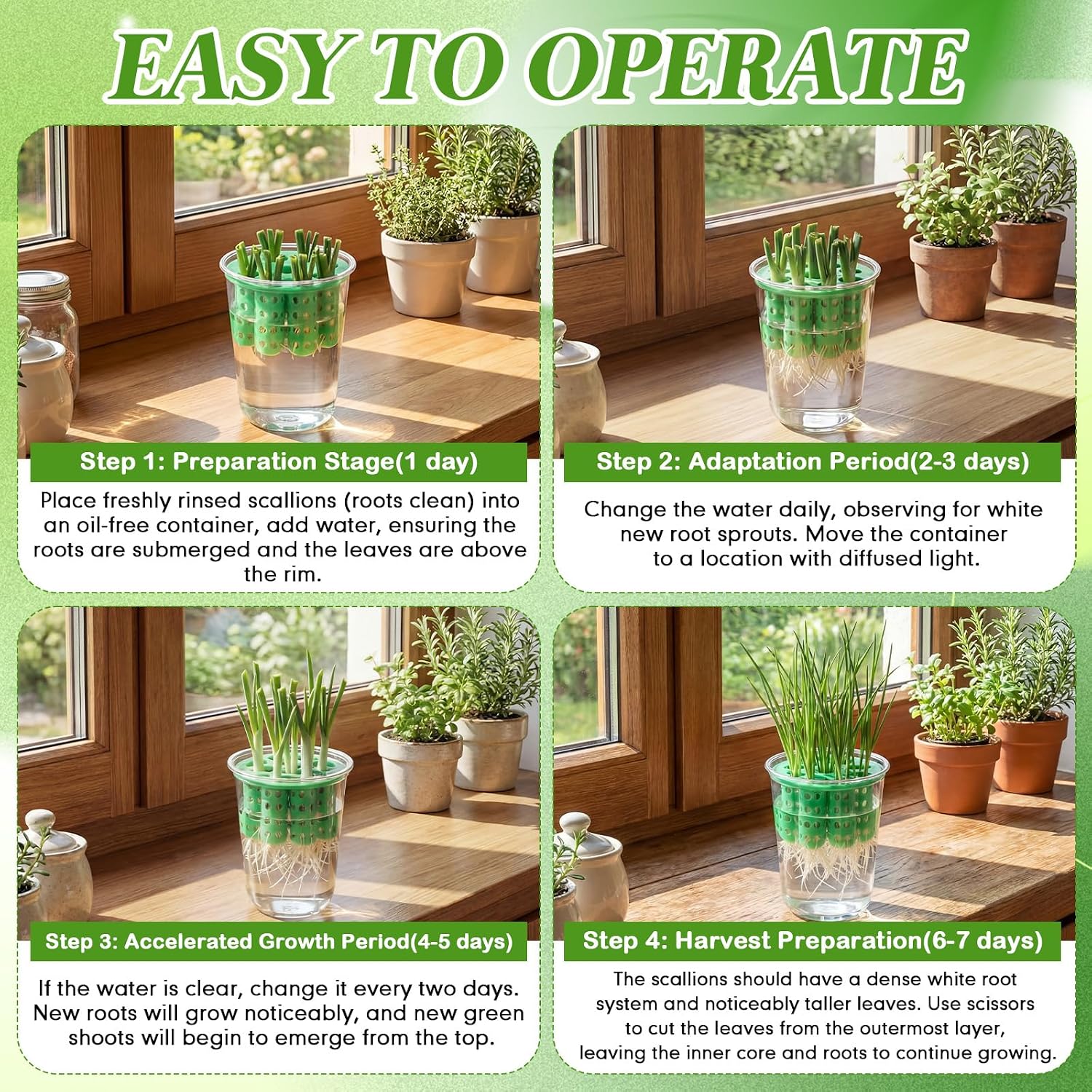 4 Pack Green Onion Planter Scallion Grower Seed Sprouting Kit Compatible with Regular Mouth Mason Jar for Windowsill