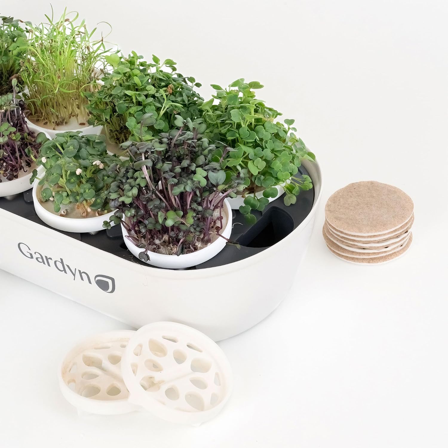 Gardyn Complete Microgreens Growing Kit - Indoor Herb Garden | Indoor hydroponics growing system nursery seed starter
