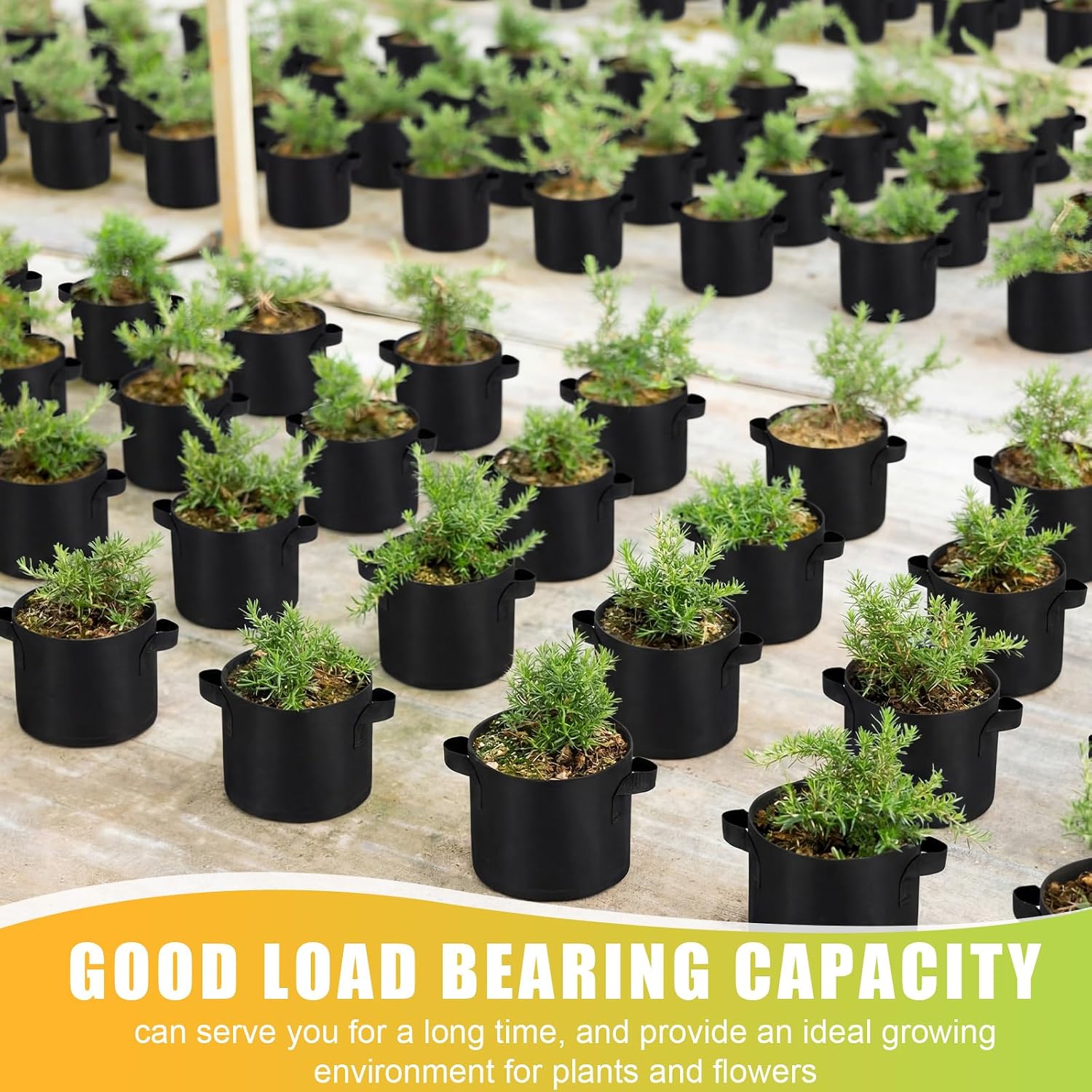 Nuanchu 36 Packs Grow Bags Bulk Aeration Fabric Pot with Handles Thickened Nonwoven Garden Bags to Healthy Root Growth