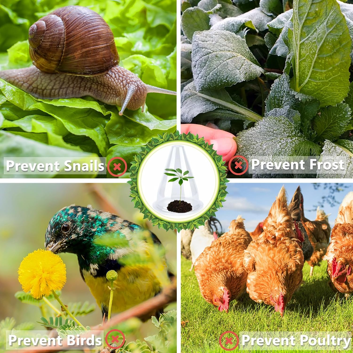 【24 Pieces】 Garden Cloches for Plants, Plant Cover Plant Protectors Transparent Bell Jar Cloches Protection Plants from