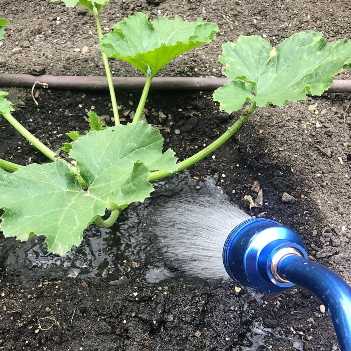 Watering Wand, 24 Inches Sprayer Wand with Superior Stainless Head, Perfect for Hanging Baskets, Plants, Flowers