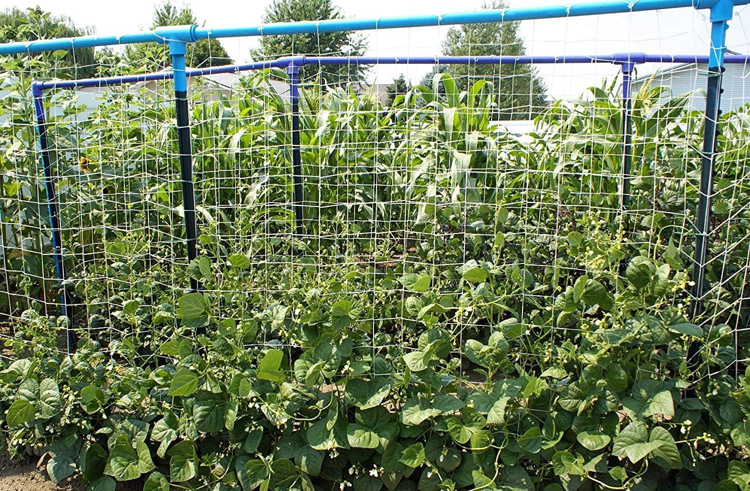 Soft Mesh Nylon Trellis Netting Roll - 5 x 350 ft Heavy Duty Garden Netting for Climbing Plants,Garden Melons