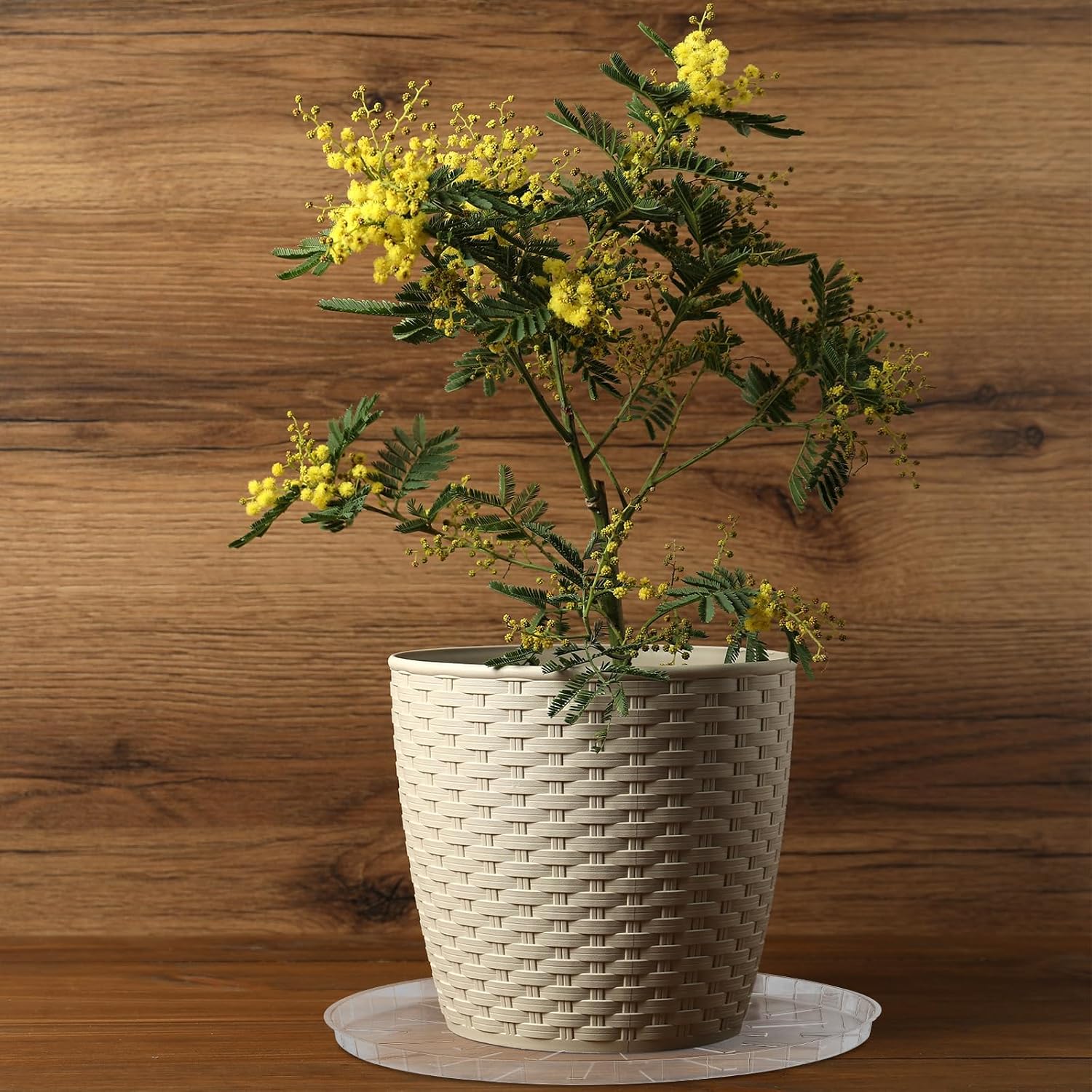 DoubleFill 6 Pcs 25 Inch Plant Saucer Large Clear Plastic Flower Plant Trays Heavy Duty Round Water Catcher for Pots