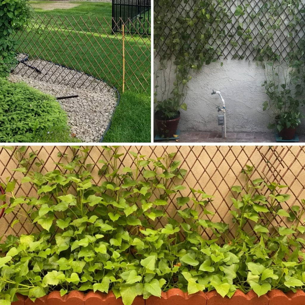 Expandable Willow Lattice Fence Panel Plant Support Garden Trellis for Climbing Vine Ivy Rose Cucumbers Clematis