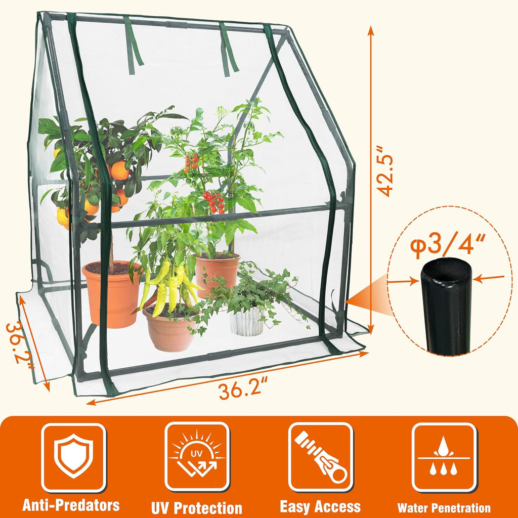 Gardzen Mini Greenhouse with Zipper Mesh Cover 36.2"(L) x36.2(W) x42.5(H) | Steel Frame Portable Outdoor Greenhouse