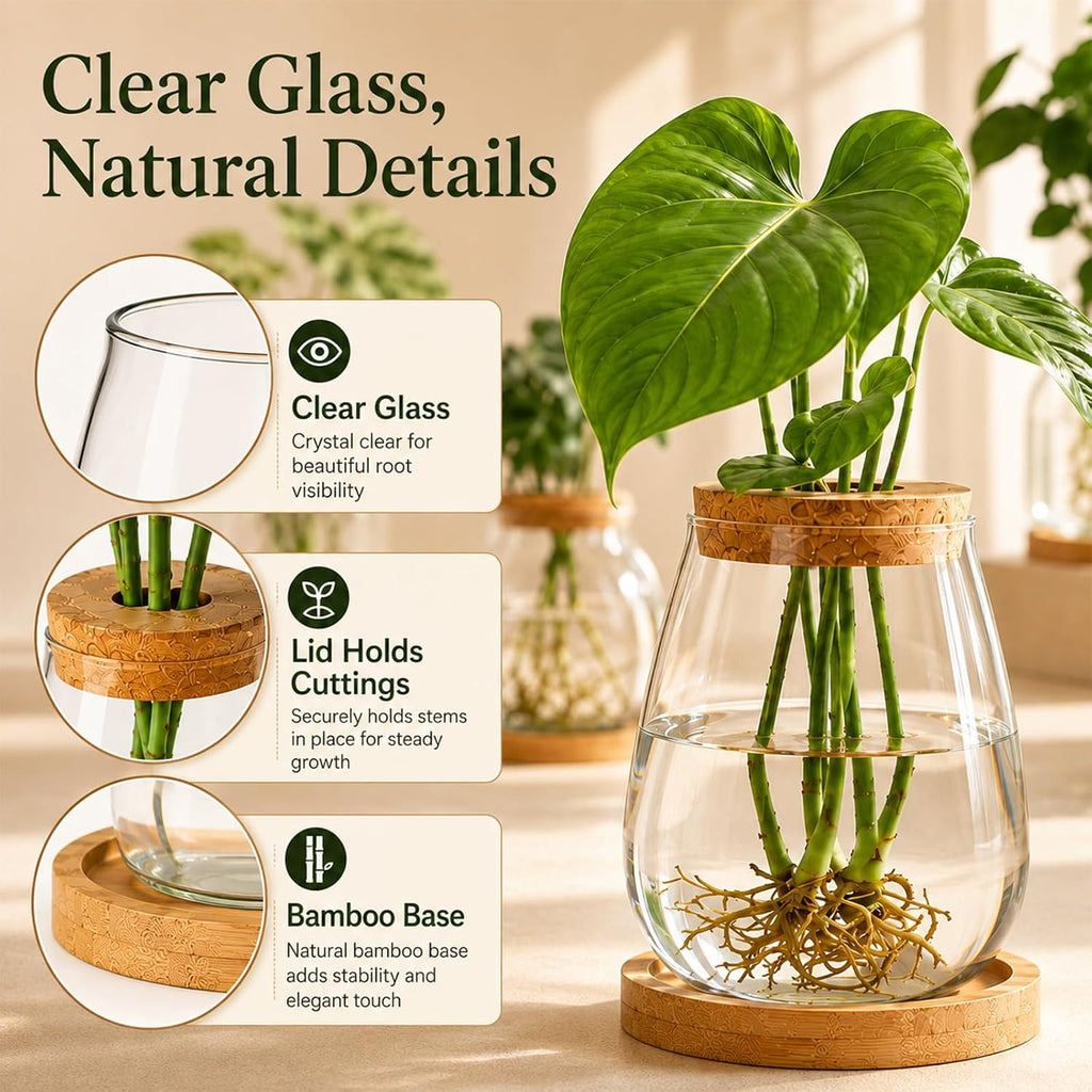 6 Pcs Plant Propagation Station Set, Glass Propagation Vases with Wooden Lids and Bamboo Bases, Plant Propagation Jars