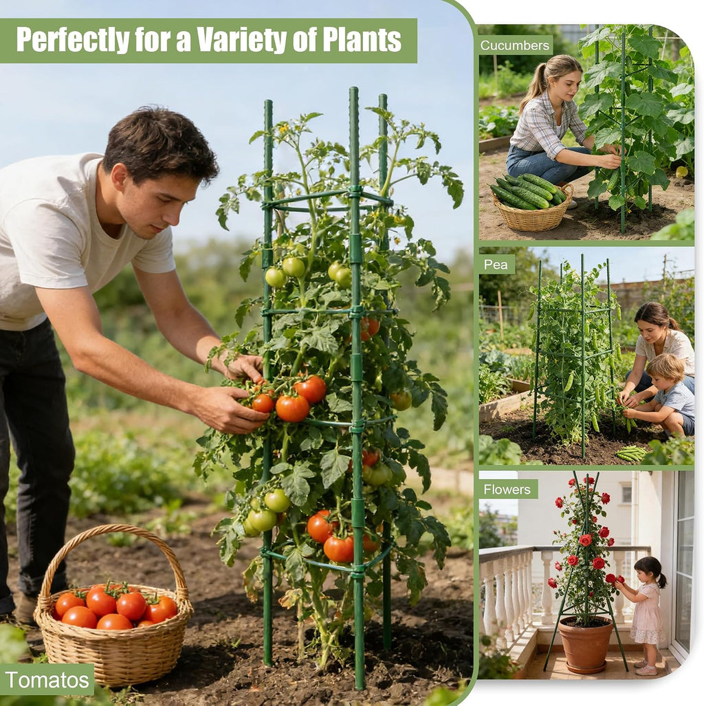 6-Pack 48'' (4ft) Tomato Cages & Trellis – Outdoor Garden Adjustable Plant Support & Stakes for Home Gardeners, Raised