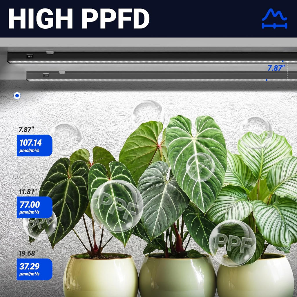 Barrina T5 Grow Lights, 2FT 20W (2 X 10W), 5000K Full Spectrum, 2 Packs | Plant Growing Lamps with Magnetic Bar