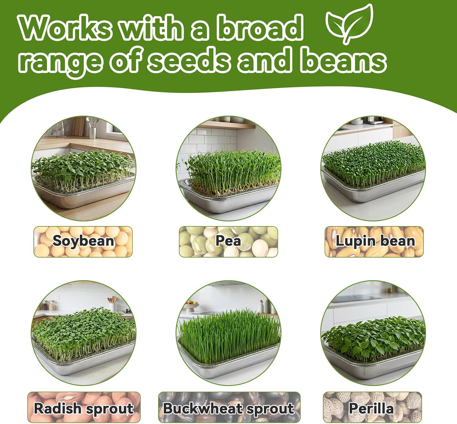 2 Pcs Stainless Steel Seed Sprouting Trays with Towel & Gauze (12.6 x 8.6) | 2-Tier Soil-Free Microgreens Growing Kit
