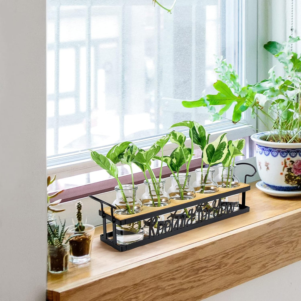 Plant Propagation Station "Rooting for You" Hydroponic Planter Vase | 5 Glass Propagation Jars with "Rooting for You"