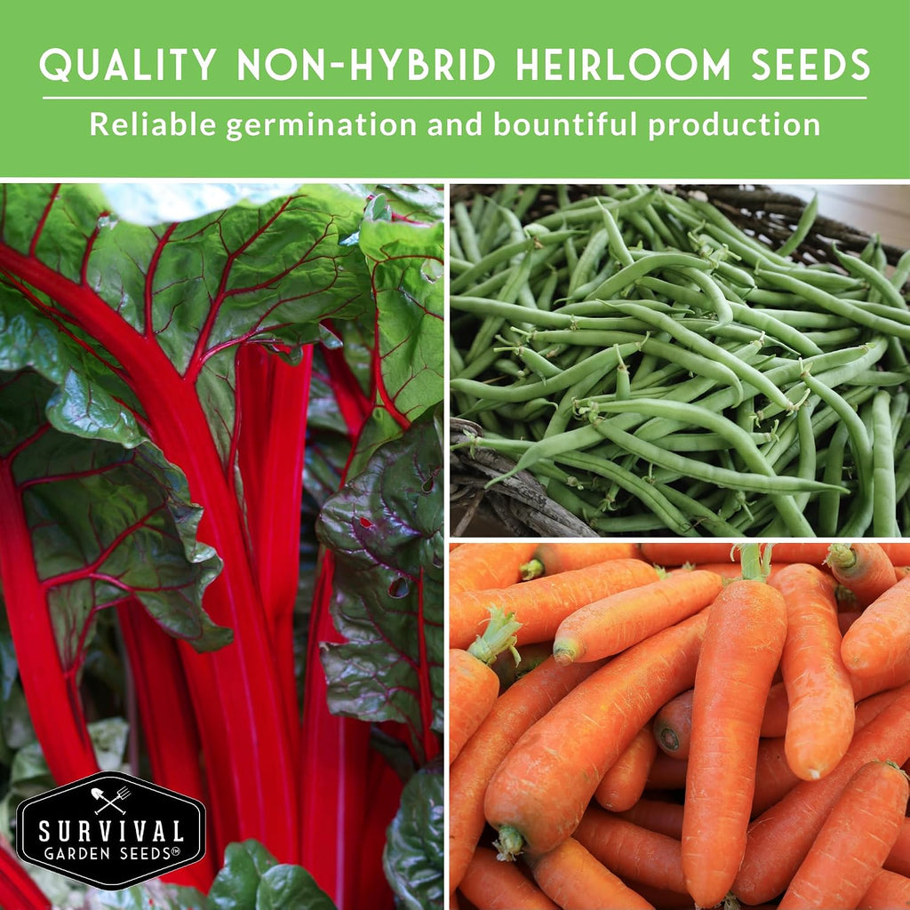 Northern Vegetable Seeds Collection for Planting | 15 Cold Hardy Heirloom Varieties, Frost-Tolerant for Cool Climates &