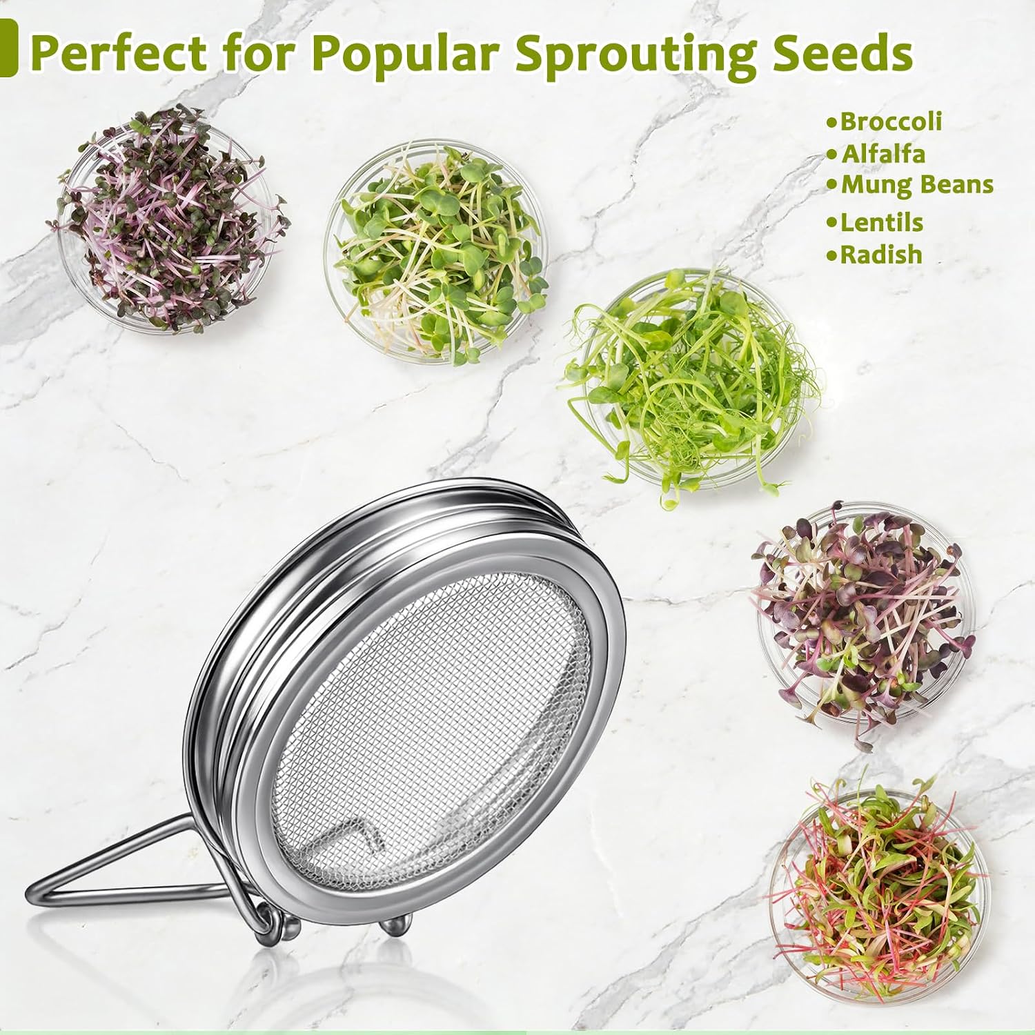 Sprouting Jar Kit, Stainless Steel Sprouting Lids with Stand, 2 Pcs | Sprouting Kit with Glass Mason Jars &