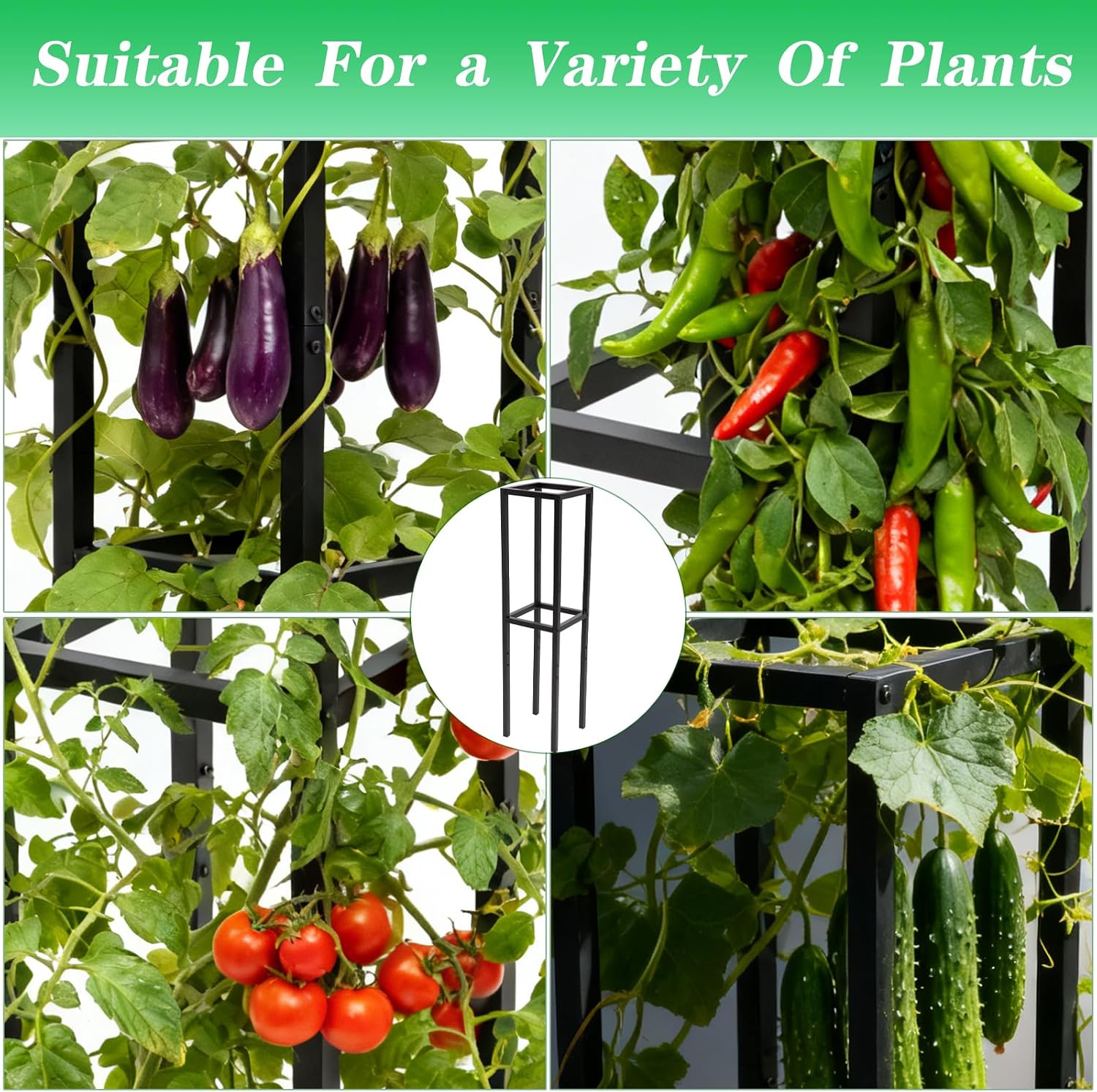 48" Dragon Fruit Trellis Durable Metal Support for Climbing Plants | Premium Durable Plant Accessories for Gardeners