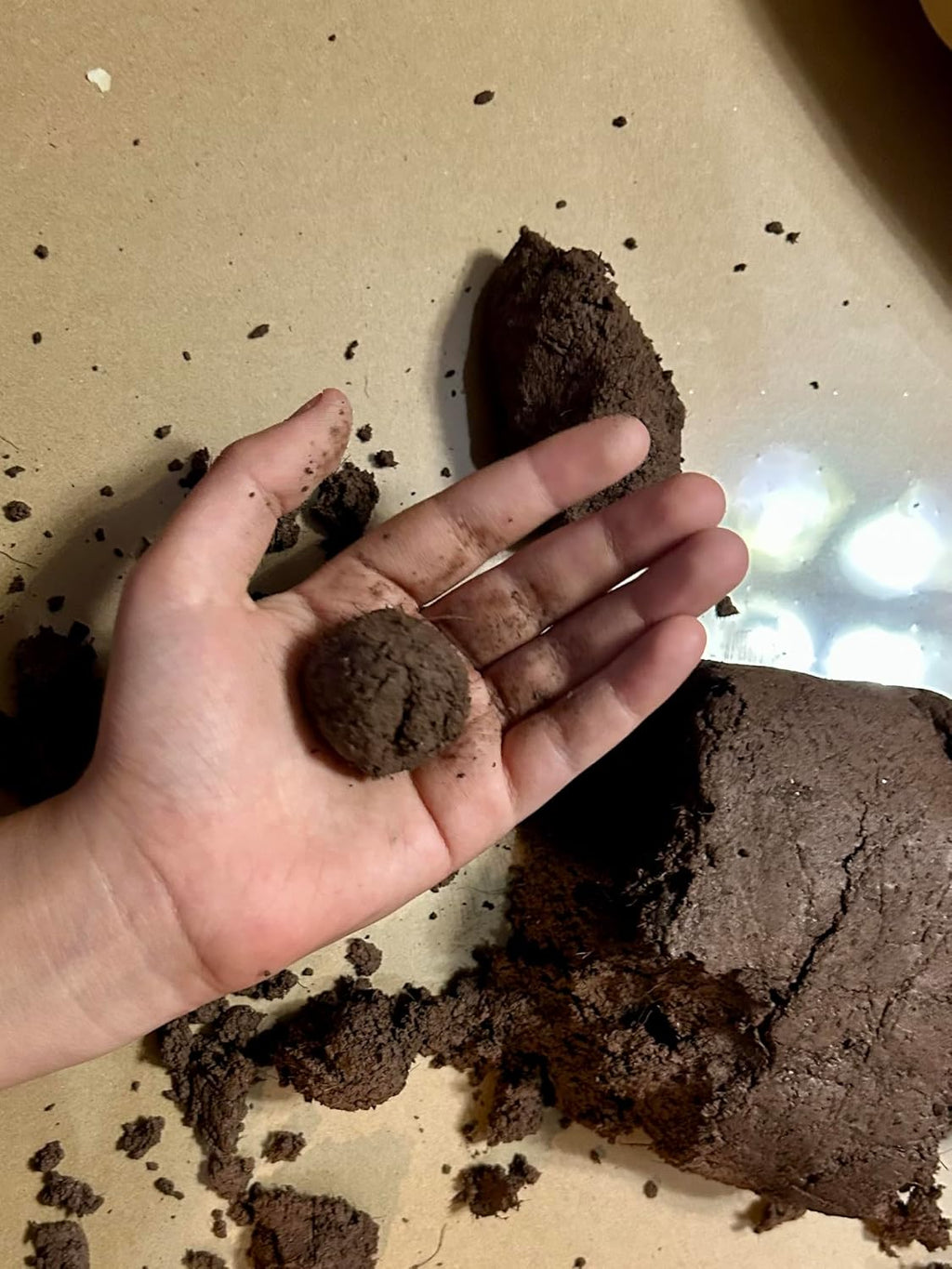Seed Bomb Mud Mix - Make DIY Seedballs 1kg