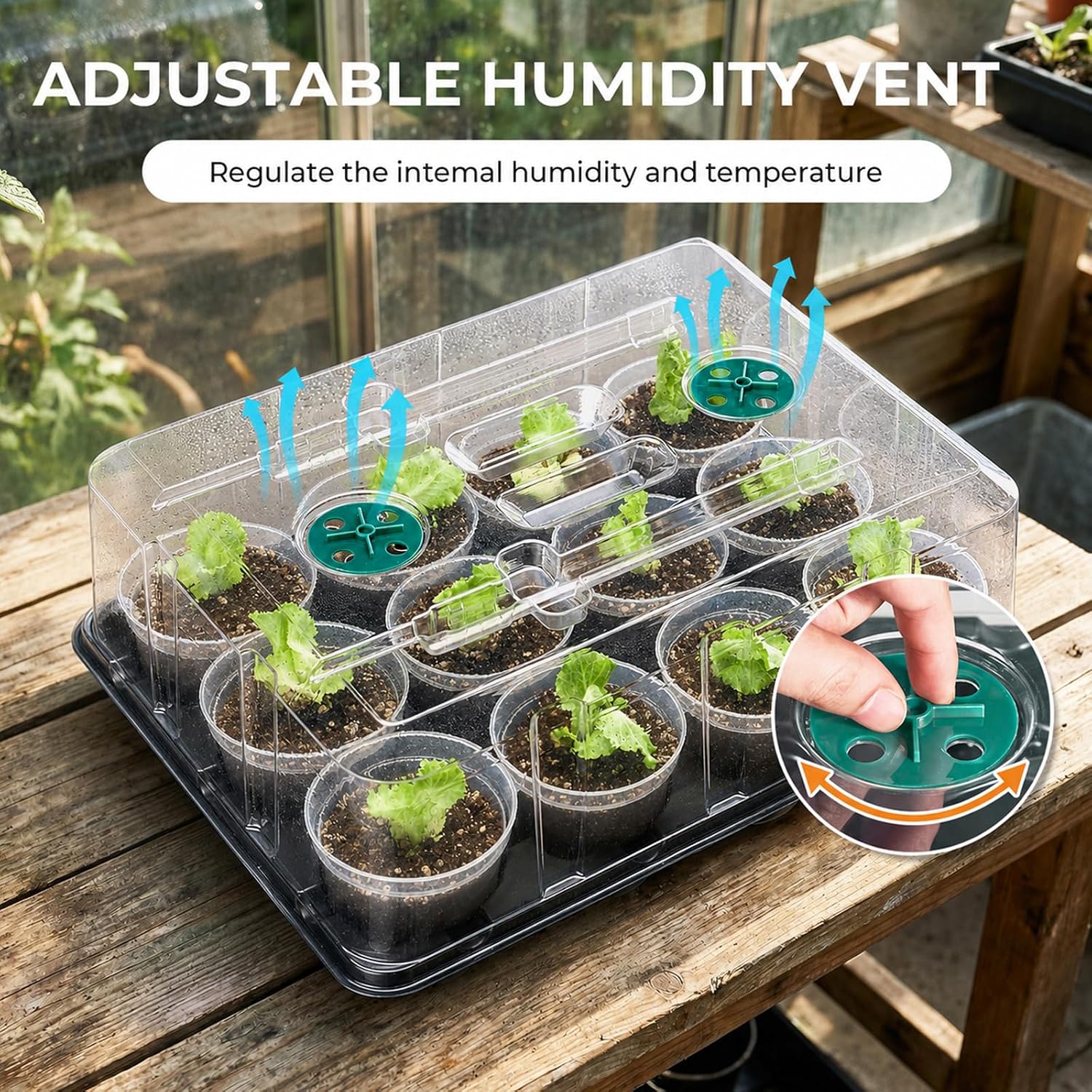 4 Inch Seed Starter Trays 2 Pack, 12-Cell | With Grow Light, Humidity Dome, 24 Pcs 4" Nursery Pots, Plastic Germination