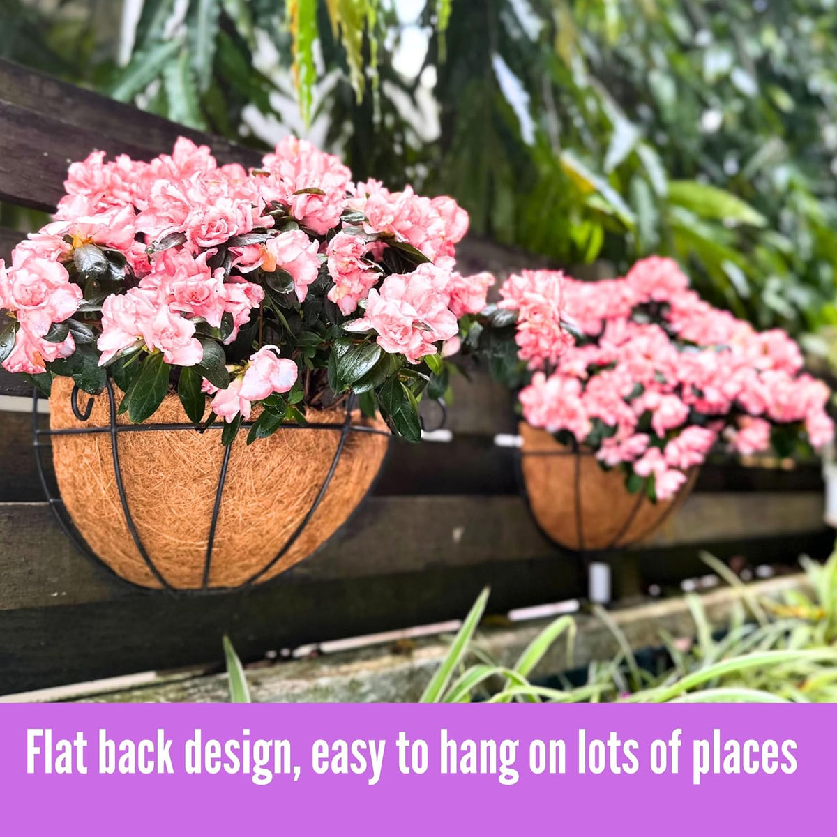 Shoplala Wall Hanging Planter for Outdoor (2 Pack, 10 Inch) Black Metal Hanging Flower Basket for Plants, Wall Planters
