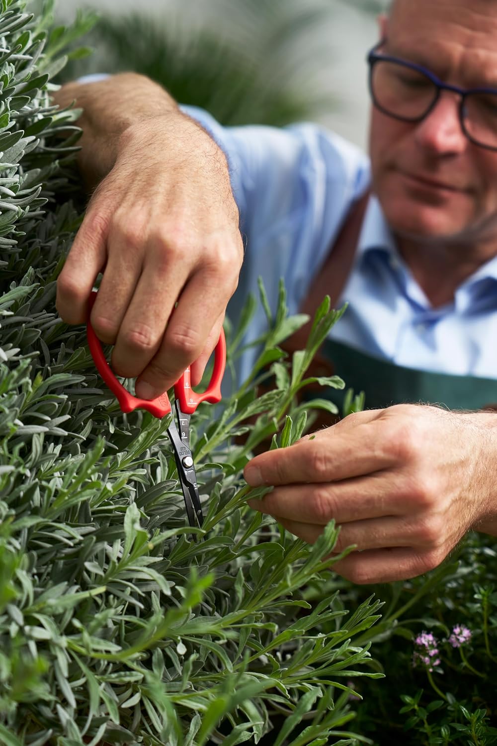 Felco 420 Trimming Scissors – 6.1" Garden Clippers with Fine Tip & Non-Stick Blade | Pruning Shears for Gardening